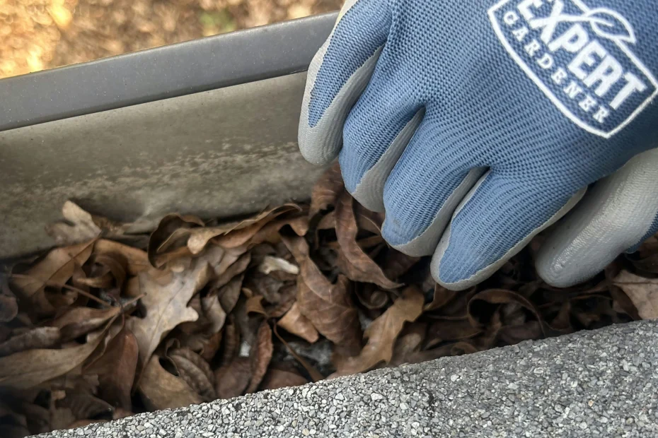 Gutter Cleaning Gastonia