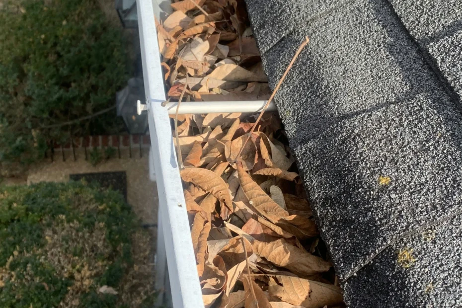 Gutter Cleaning Gastonia